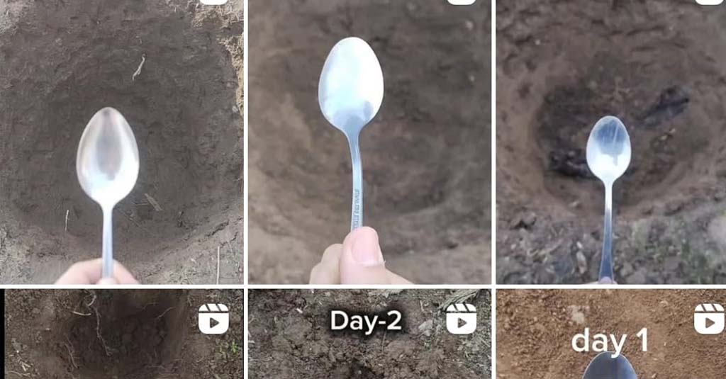 digging with spoon insta