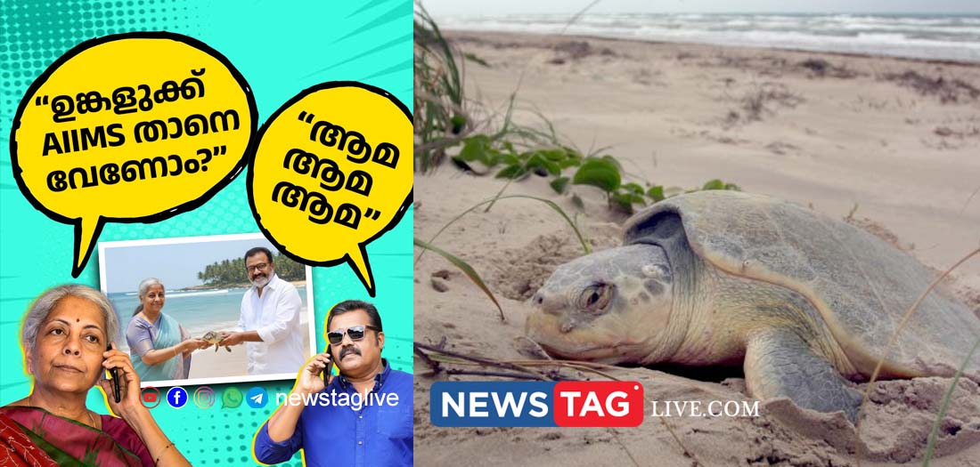 union budget kerala 2026 turtle trail project kerala
