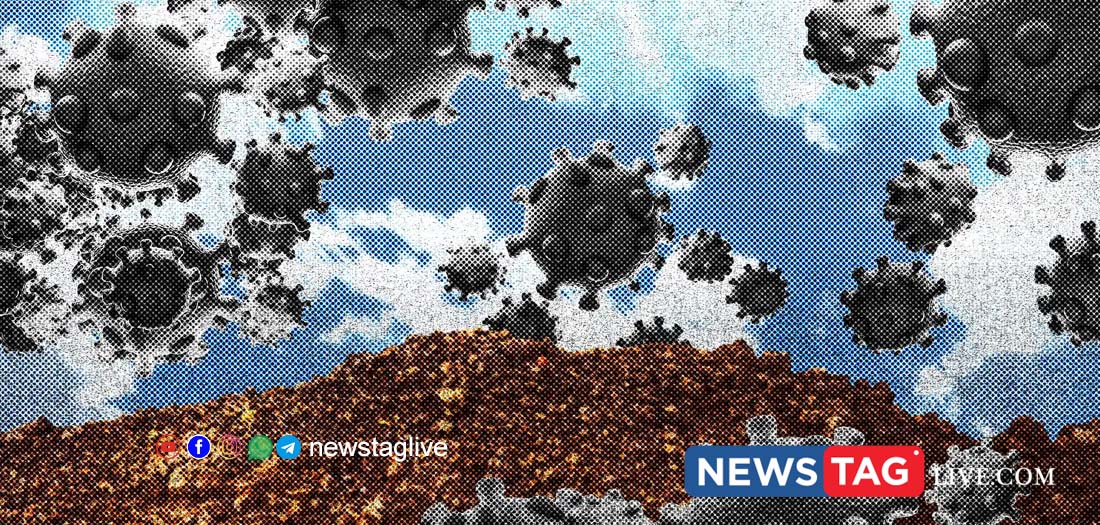 cicada covid variant