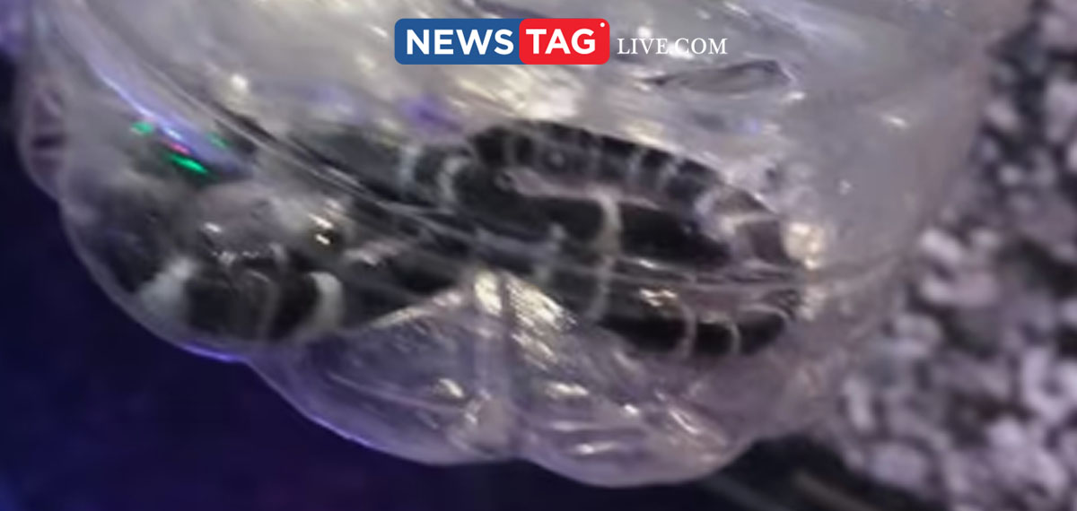 forth common crait caught from deceased childs house in Thrissur