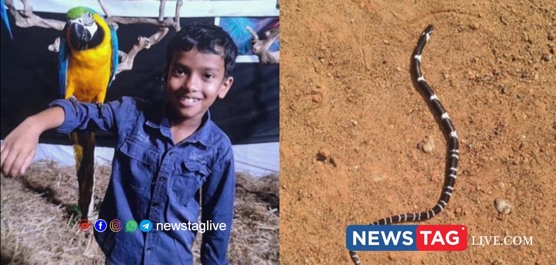 thrissur snake bite death