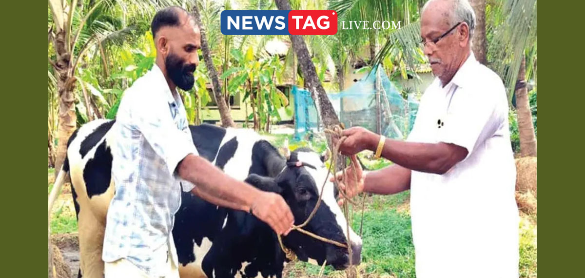 CPIM branch member handover his cow to league worker after lost in bet