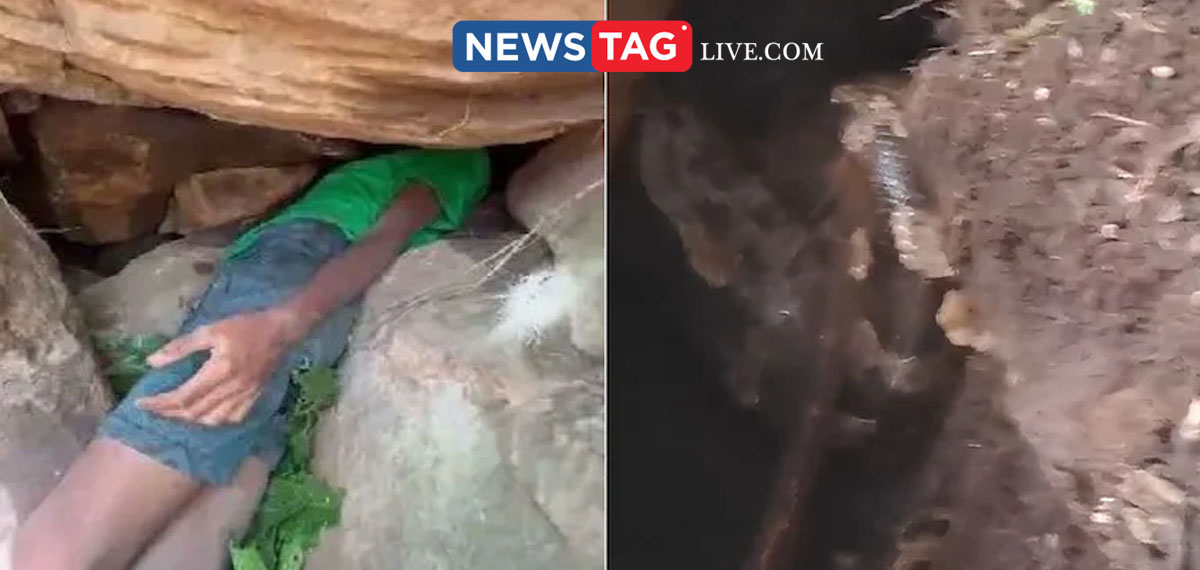 teenagers head stucked in the crevice for eight hours while trying to take honey