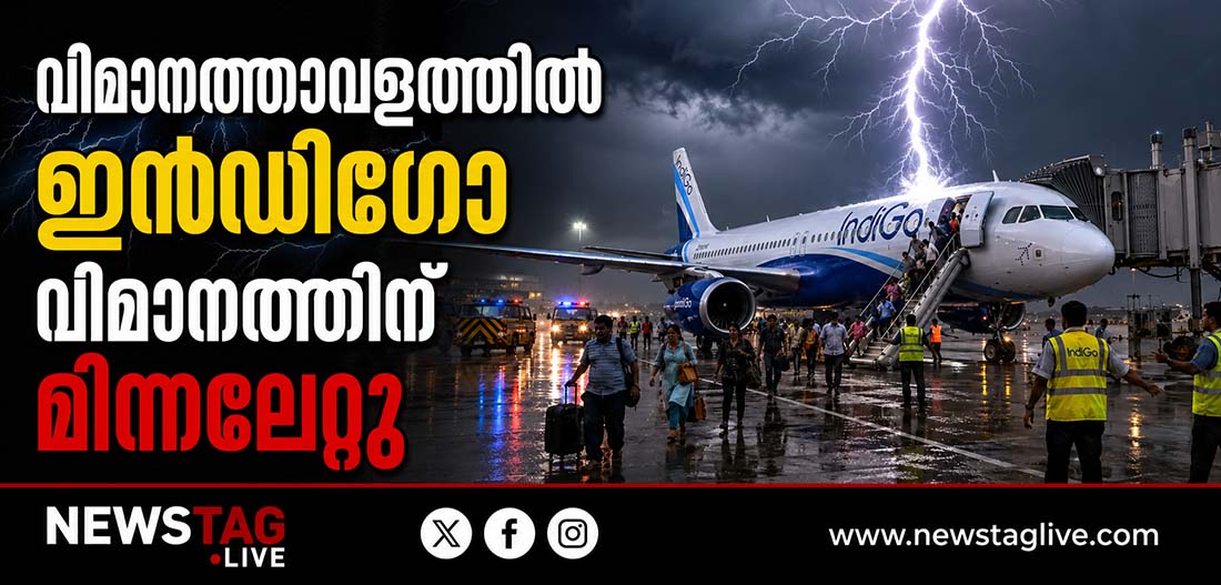 IndiGo flight struck by lightning