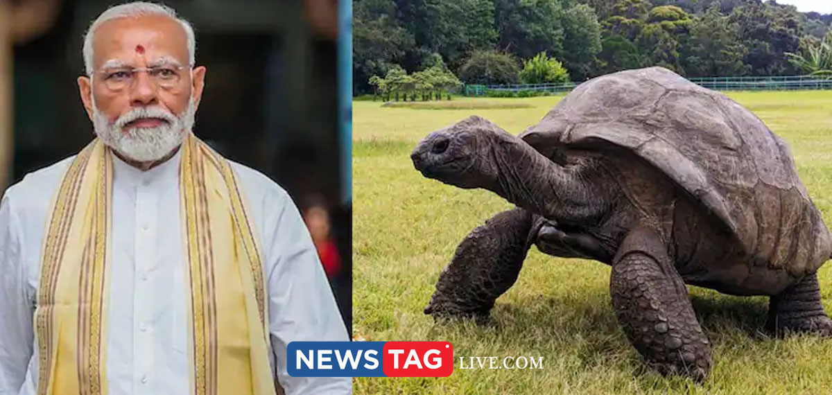 Modi visits worlds oldest land animal Jonathan