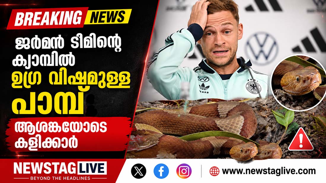 SNAKE IN GERMAN TEAM CAMP