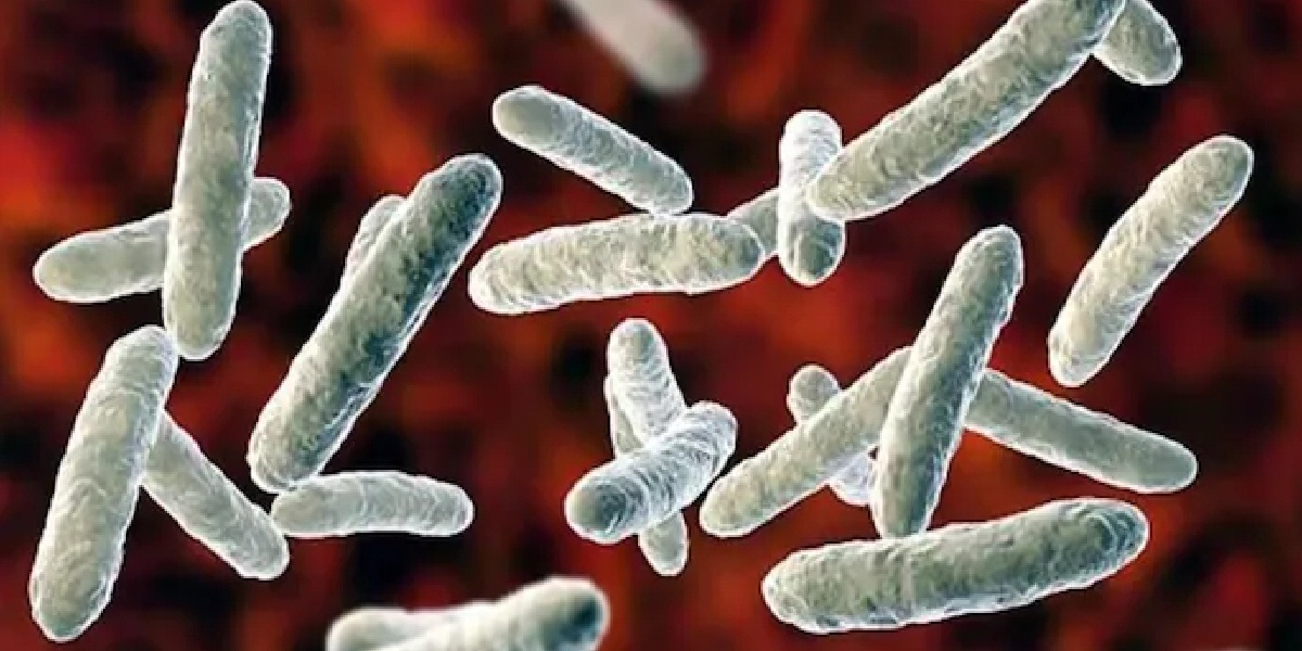Shigella virus reported in Kollam