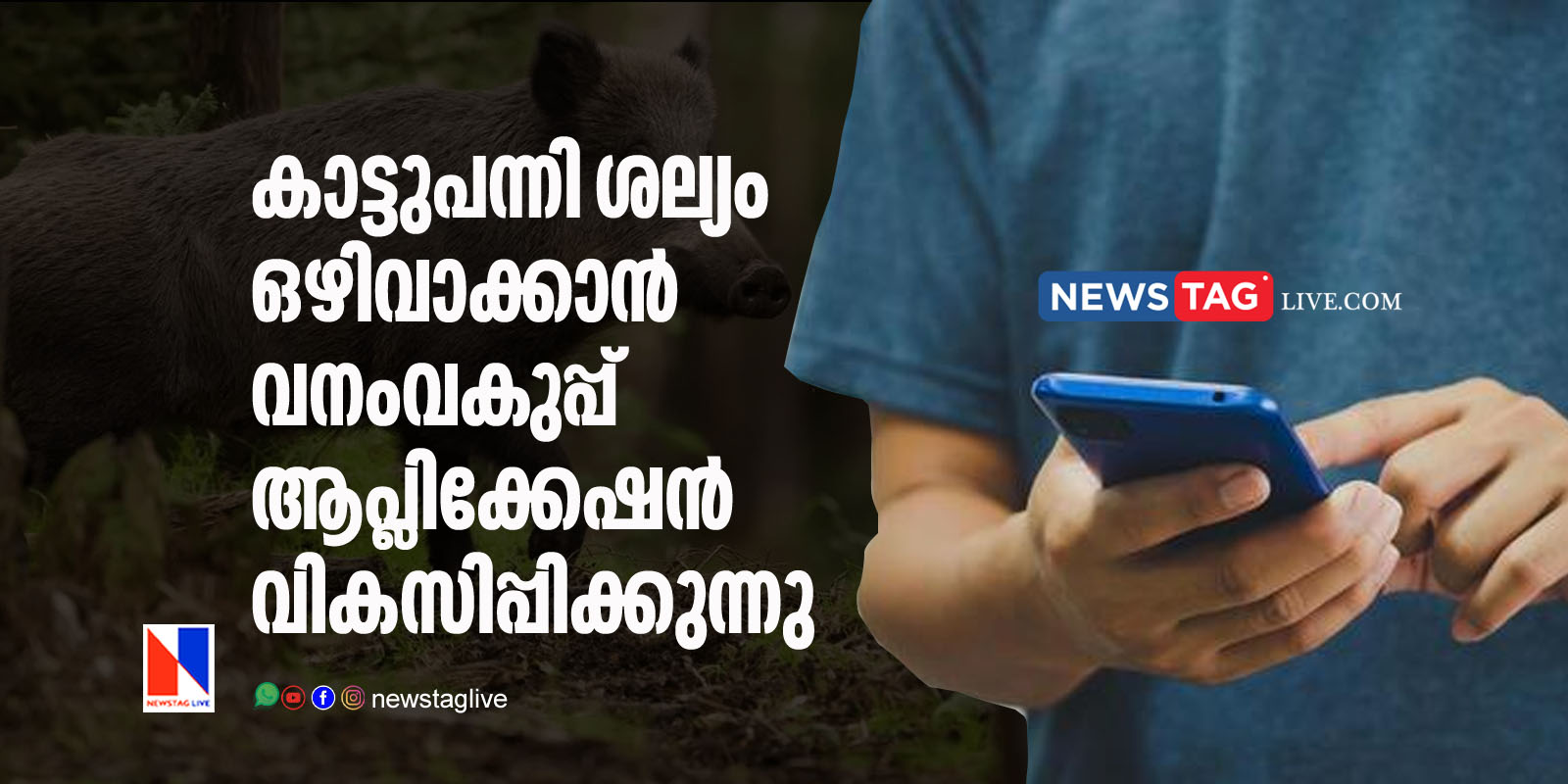 forest department developing app to report wild boar spotting