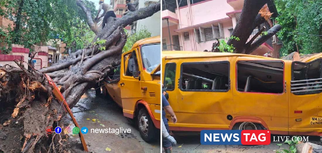 tree fell over school bus