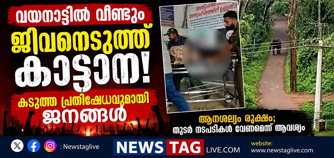 wayanad elephant attack