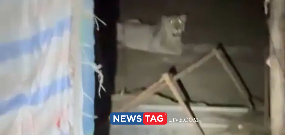 11 year boy killed by lion