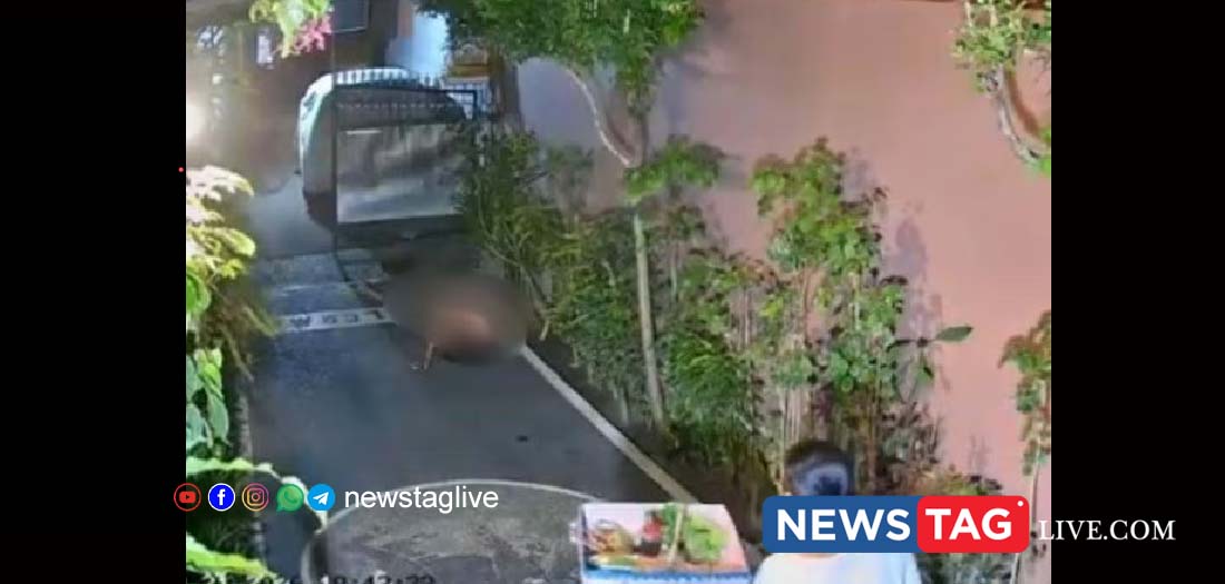 Australian Man Arrested In Bali For Public Sex Act
