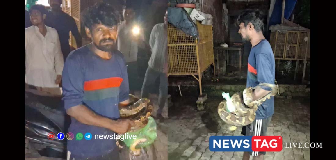 Suresh played with the python for quite some time