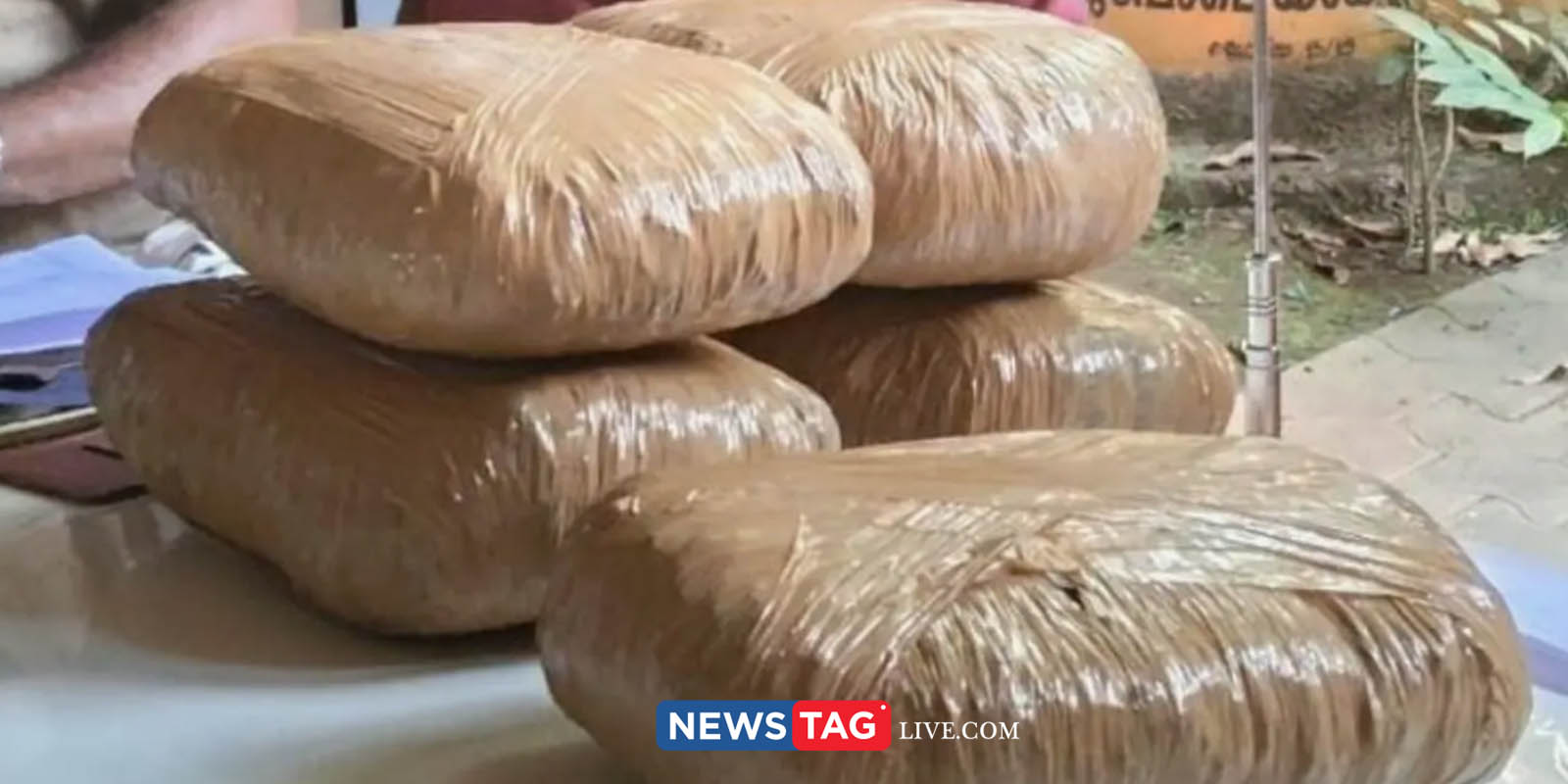 27 kilogram Ganja caught in Palakkad