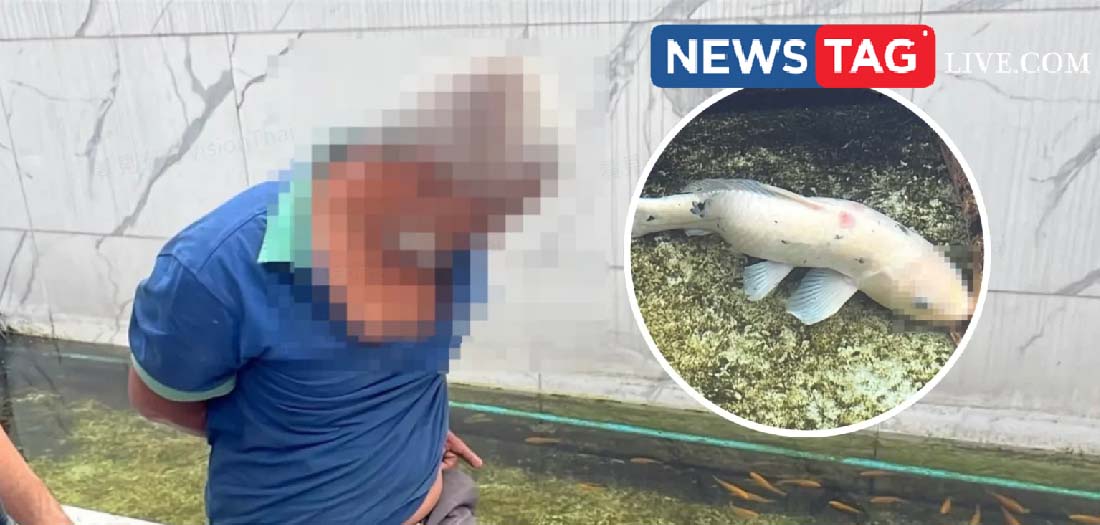 Man Arrested For Sexual Abuse Of Koi Fish Bangkok