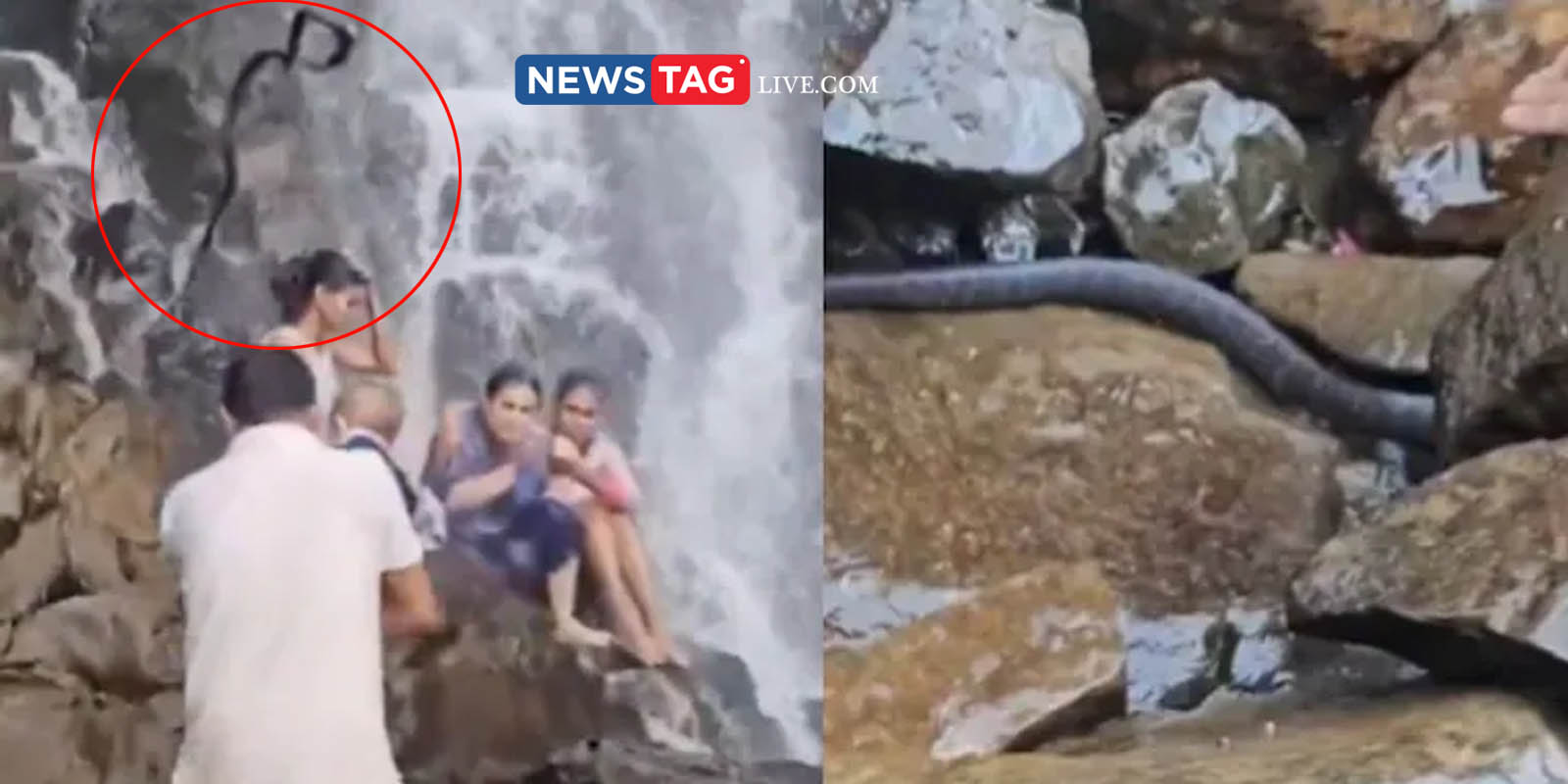 Snake falls over mans body while he carrying baby in arms in a water fall