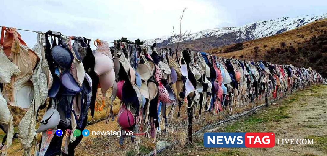 Bradrona Cardrona Bra Fence New Zealand Story
